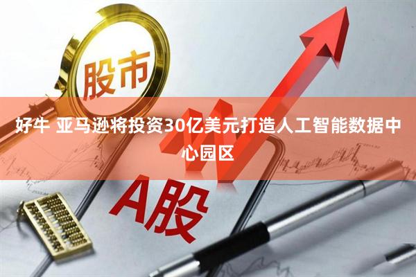 好牛 亚马逊将投资30亿美元打造人工智能数据中心园区