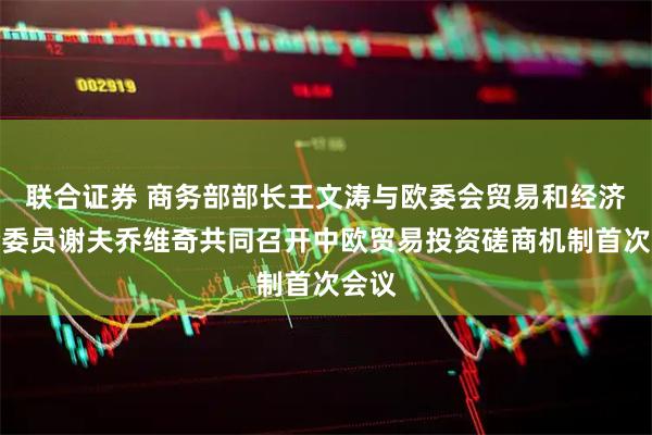 联合证券 商务部部长王文涛与欧委会贸易和经济安全委员谢夫乔维奇共同召开中欧贸易投资磋商机制首次会议